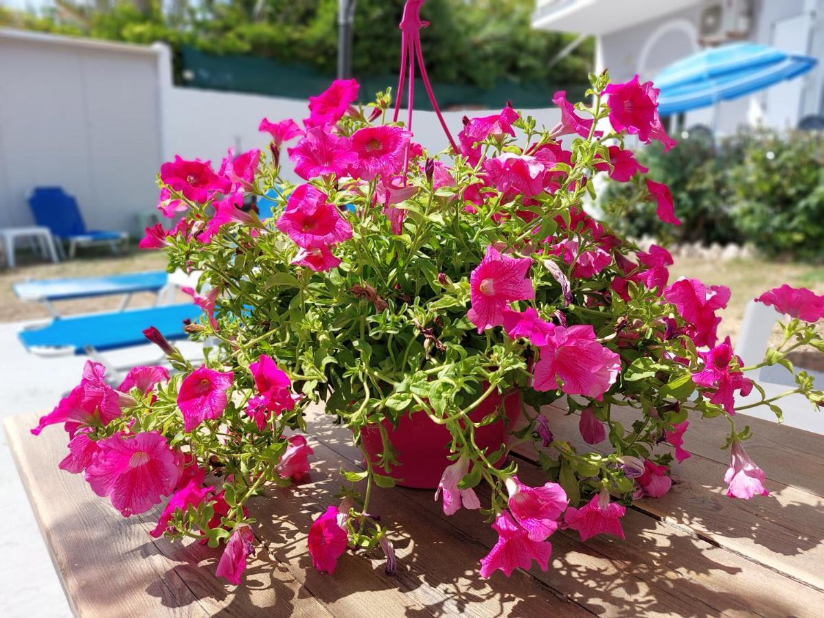 Leta Apartments Agios Georgios  Exteriör bild